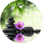 Body Worship Spa Bali Google Review 6